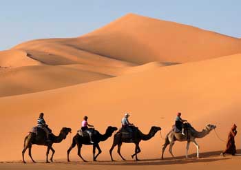camel-and-jeep-safari-in-pushkar