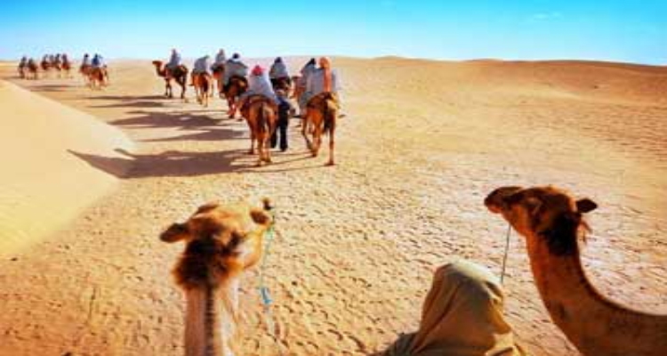 Rajasthan Desert Tour - Ajmer Tours